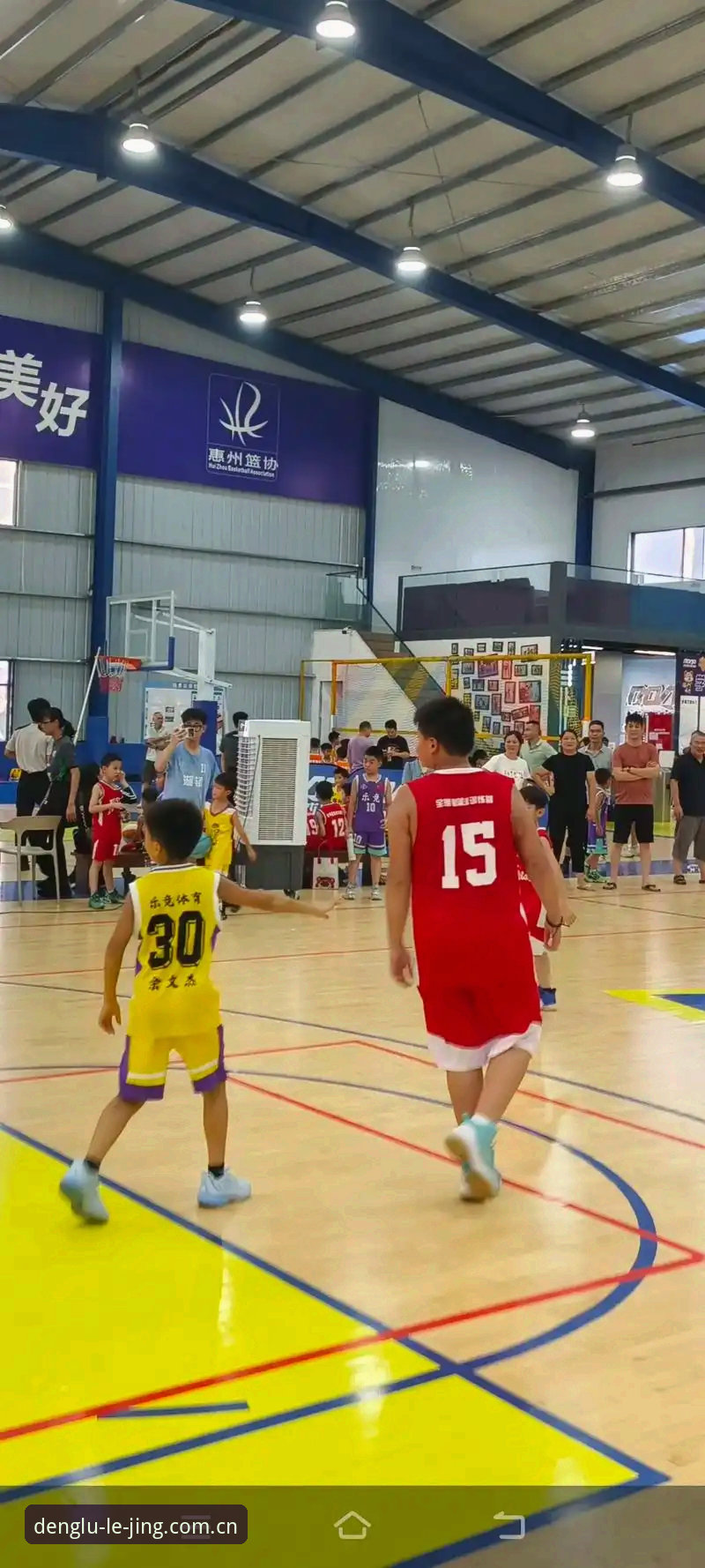 乐竞体育平台对比详解：新手如何选择最适合的版本？